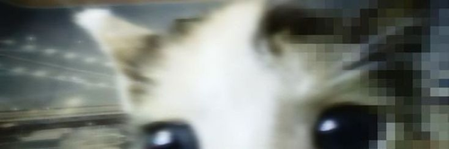 imagen 2026 03 07 184216892.png
