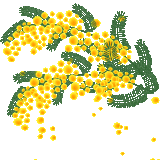 1000067194.gif