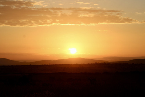 IMG 5861.jpg