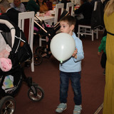 IMG 0292