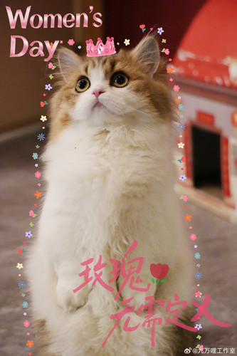 008FUZLCly1iazqvq8wmpj336o4s0npk.jpg