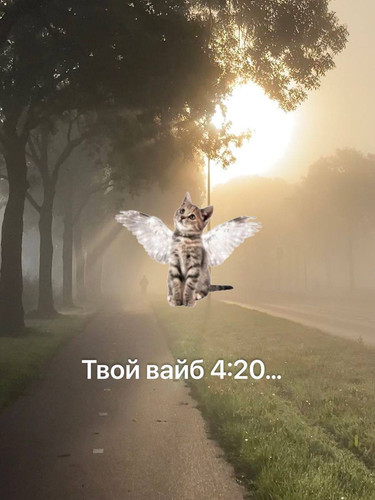 source.jpg