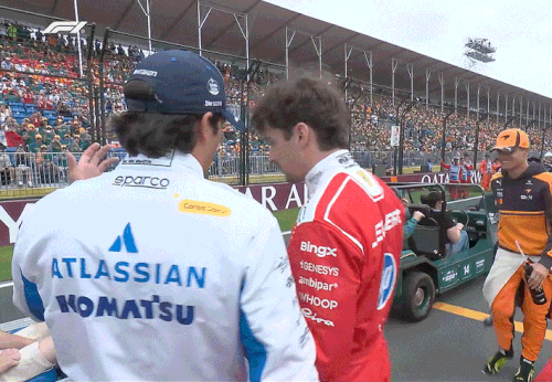 IMG 7178.gif