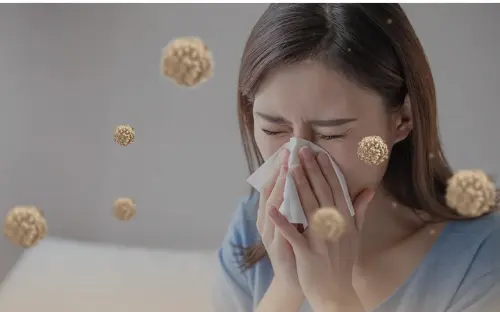 image download (6).webp