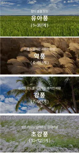 image download (38).webp