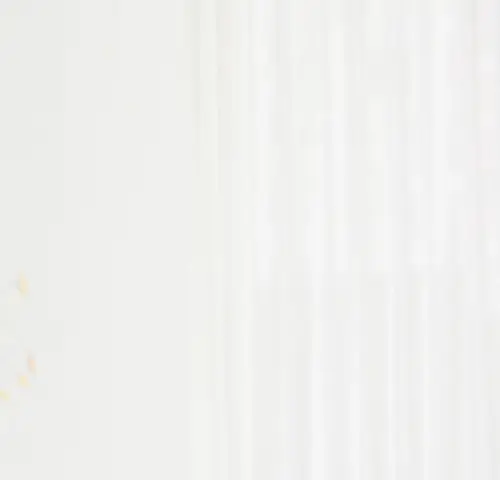 image download (18).webp