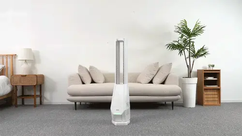 image download (33).webp