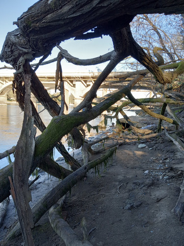 IMG 20260307 163437033 HDR.jpg
