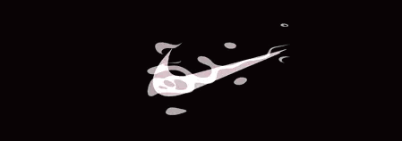 2332 nike.gif