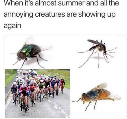 1000102929.jpg