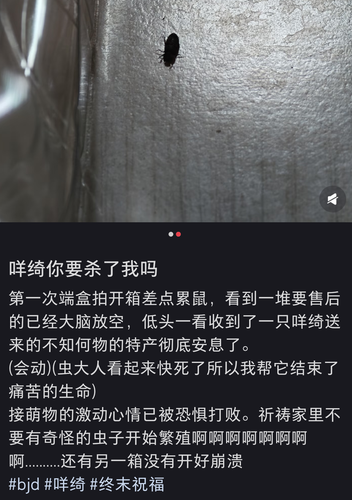 Screenshot 20260308 210819 com.xingin.xhs.png