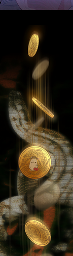 19.png