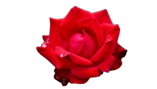 833d1ba86de6.png