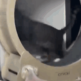 cat dog.gif