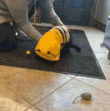 cats2b.gif