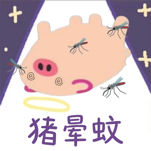1770077007439.png