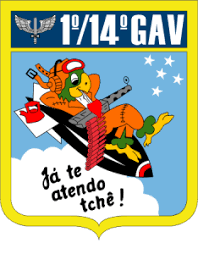 esquadrão pampa.png
