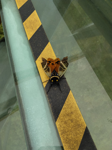 IMG 20251012 163455.jpg