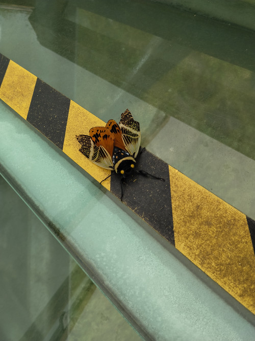 IMG 20251012 163457.jpg