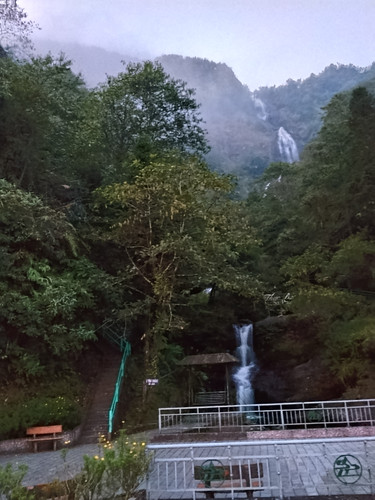 IMG 20251012 175613.jpg