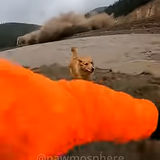 20260308 222624.png
