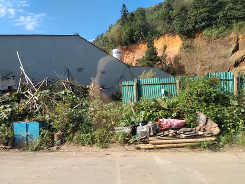 IMG 20251012 151846.jpg