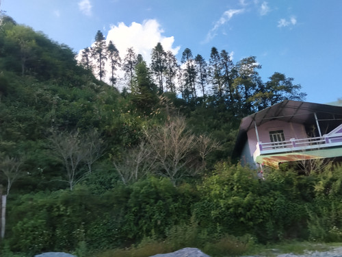 IMG 20251012 153235.jpg