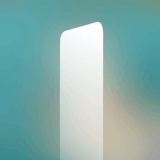 1000054281.gif