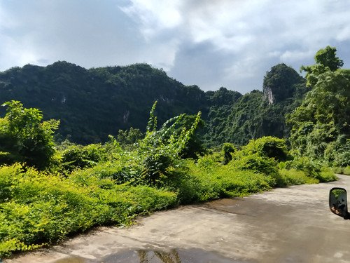 IMG 20251013 131344.jpg