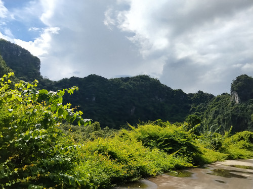 IMG 20251013 131343.jpg