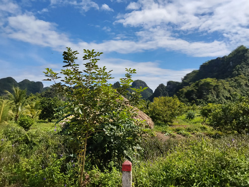 IMG 20251013 131717.jpg