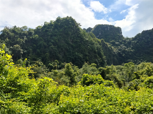 IMG 20251013 131347.jpg