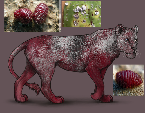 Untitled2190 20260308040659.png