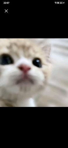 Screenshot 20260308 220715 com.ss.android.ugc.aweme.jpg