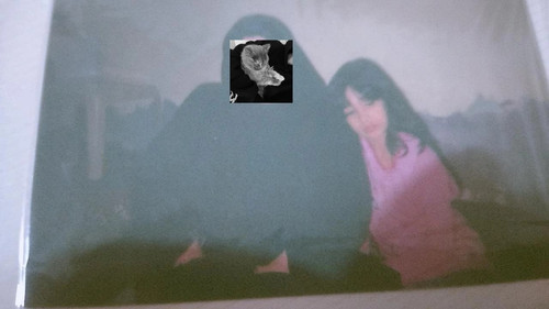 file 23755.jpg