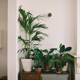 tumblr ninxqs2vsY1spn3hro1 1280