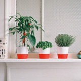 tumblr ninxqs2vsY1spn3hro4 1280