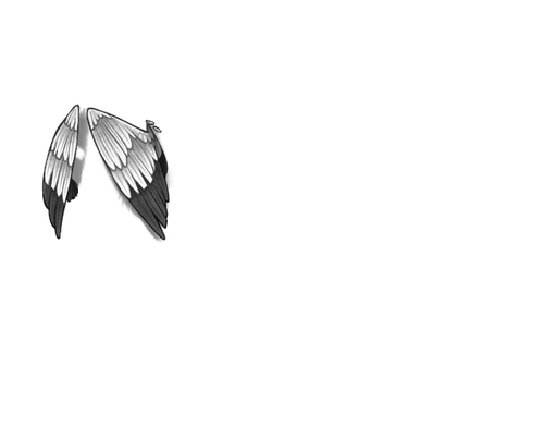 raffle head wings.png