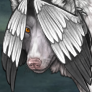 raffle head wings icon.png