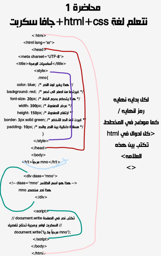 1000104715.jpg