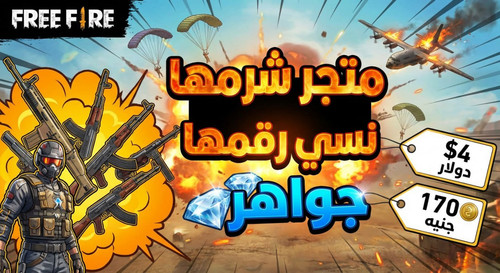 file 730.jpg