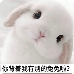 1772682751313.png