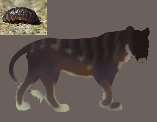 Untitled2190 20260308072039.png