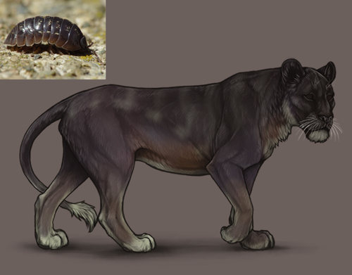 Untitled2190 20260308072034.png