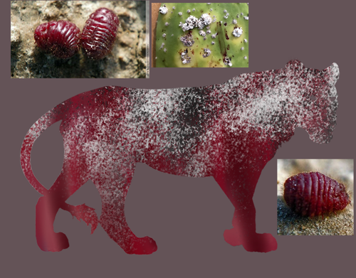 Untitled2190 20260308040711.png