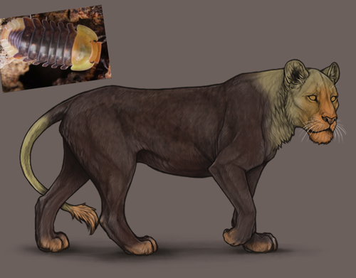 Untitled2190 20260308073606.png