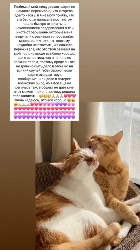 IMG 20260308 173509 477.webp