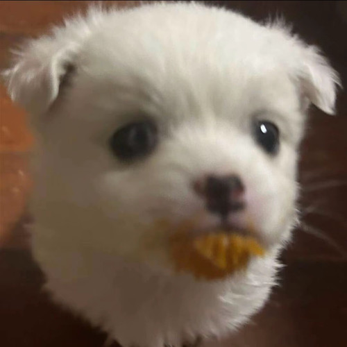 Screenshot 20260308 222352 com.ss.android.ugc.aweme edit 1080230717210421.jpg