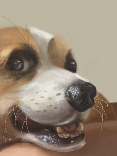 IMG 3922.png