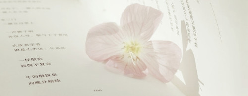 IMG 20260308 223952.jpg